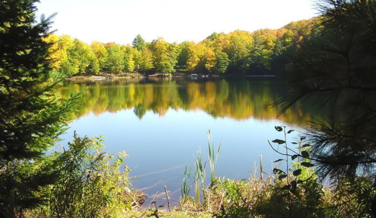 Munising.com